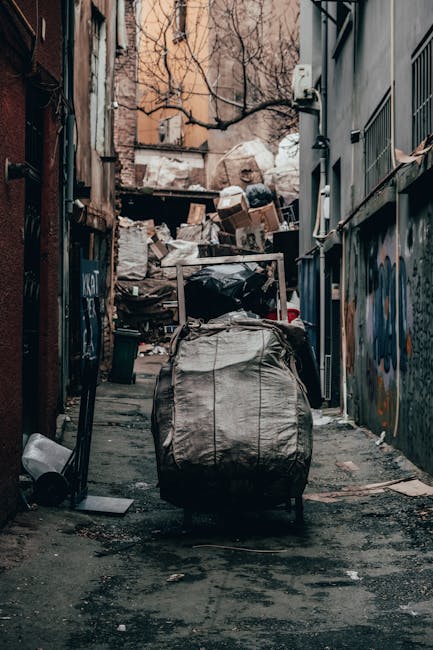 A narrow urban alleyway cluttered with various waste materials, featuring a large, heavy-duty black garbage bag in the foreground, positioned on the uneven asphalt ground that is stained and littered with small debris. Behind the bag, there are tall, graffiti-covered metal walls on the right and weathered brick walls on the left, with some graffiti tags visible. In the background, a pile of cardboard boxes, paper, and black plastic bags is stacked haphazardly against a wooden pallet, indicating a collection of refuse waiting for disposal or collection. Overhead, leafless tree branches extend across the scene, and a pale, overcast sky filters light, creating a muted, neutral tone. This setting illustrates a typical alleyway used for private waste handling, with discarded rubbish ready for collection, and Rubbish Collection Harringay's services implied in the clean-up context within this urban environment.