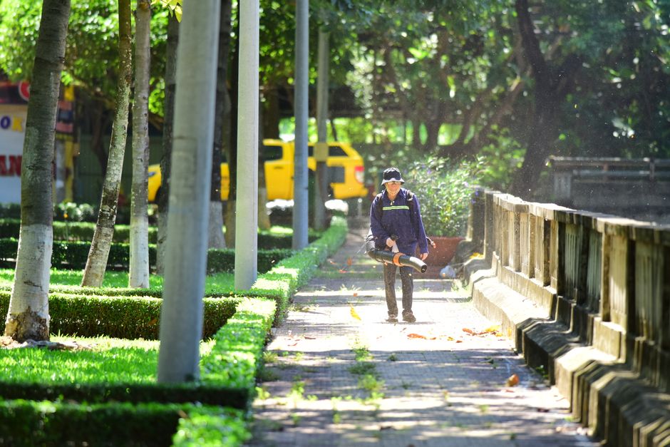 A person wearing a dark jacket with reflective strips, protective goggles, and a cap is using a leaf blower to clear fallen leaves and debris from a paved pathway in a lush green park during daylight hours. The pathway is bordered by neatly trimmed hedges and mature trees with straight trunks, casting dappled shade on the ground. In the background, yellow trucks are visible, parked along the street adjacent to the park, indicating activity related to rubbish collection or outdoor maintenance services. The scene is well-lit with natural sunlight filtering through the dense foliage, creating a bright and clean environment. The presence of the leaf blower and managed greenery reflects typical garden or outdoor waste management processes, as offered by companies like Rubbish Collection Harringay for garden waste removal and site clearance, supporting eco-friendly and private waste disposal practices in local parks and urban spaces.