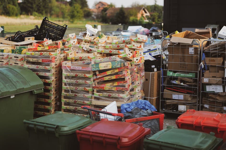 An outdoor scene showing a large collection of discarded cardboard boxes, mainly empty fruit and vegetable packaging labeled 'fresh fruits,' stacked in multiple tall piles. The boxes are made of cardboard with glossy finishes and vivid printed graphics, predominantly in red, green, and white colors, and are arranged on a paved surface. To the right of the stacks, there are several wire mesh cages filled with various types of rubbish, including flattened cardboard boxes, paper, and plastic items. In the foreground, three large plastic waste bins with hinged lids, two green and one red, are positioned on the pavement, with some smaller items such as a blue plastic bag and a black trash bag placed nearby. The background features a suburban environment with greenery, trees, and distant houses, and the scene is lit by natural daylight, suggesting a clear, possibly sunny day. The scene conveys an example of private waste collection or site clearance, with discarded packaging and waste awaiting removal by a waste management service such as Rubbish Collection Harringay.